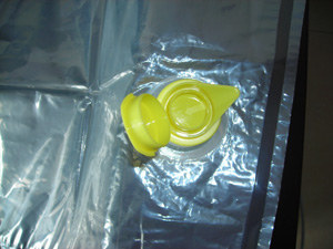 free shape pouch with spout