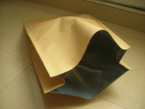 Bag in Box